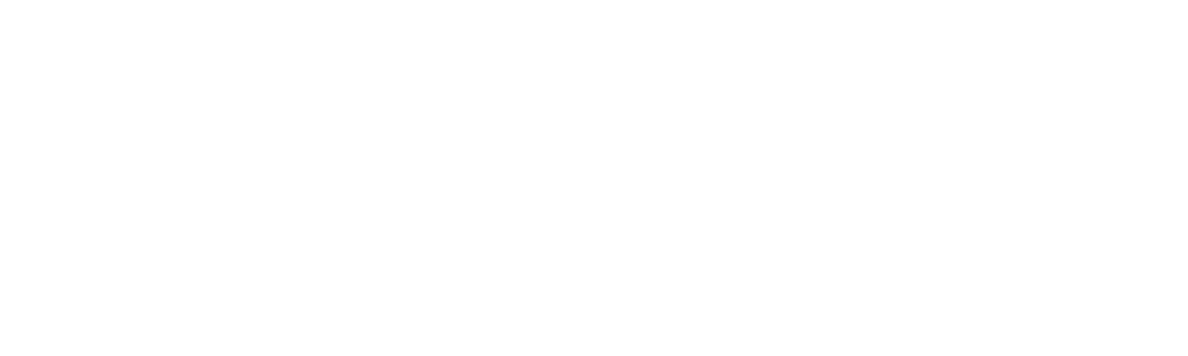 DUSTWON TECHNOLOGY